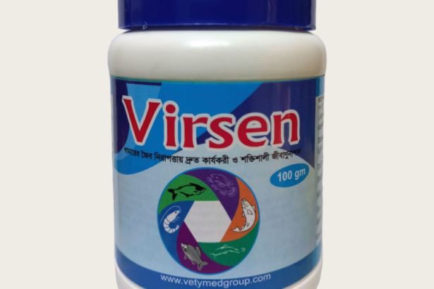 Virsen