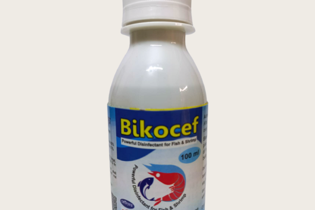 Bikocef